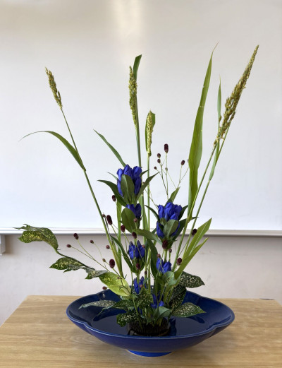 re7月のお花②