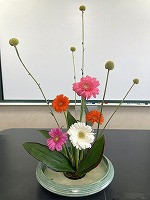 今年度最初のお花