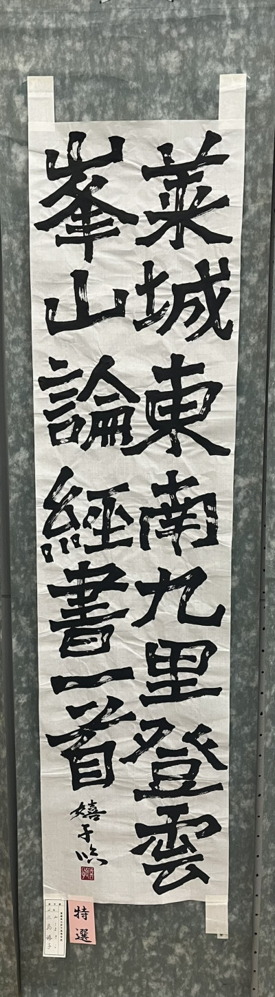 S__54239241