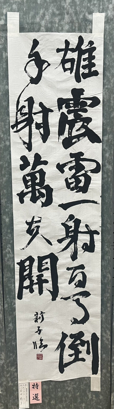 S__54239242