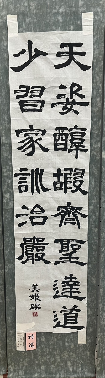 S__54239243
