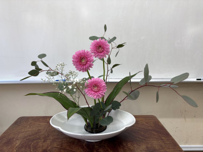 re202604284月のお花②