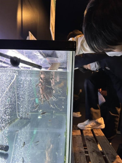 千歳水族館13