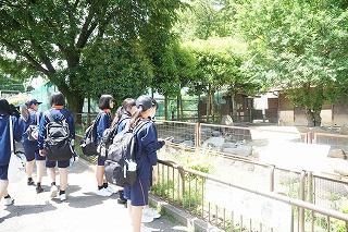 動物園見学①（どちらか）