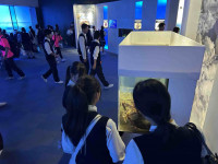 八Image (1)