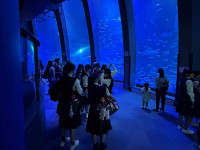 八Image (3)