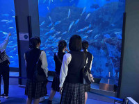 八Image (4)