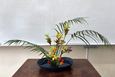 resize８月のお花