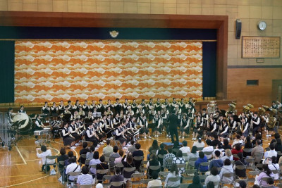 s-233A6900